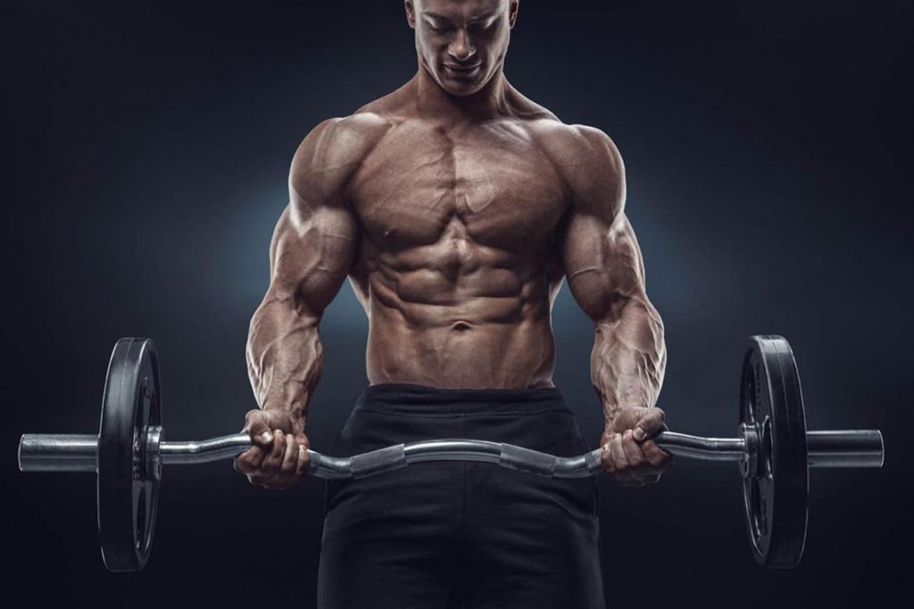 weight-lifting-builds-muscle-seretis-associates-development
